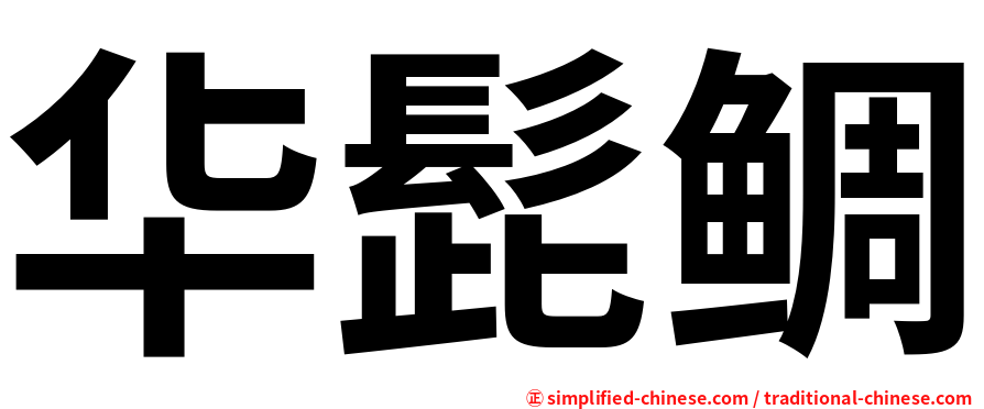 华髭鲷