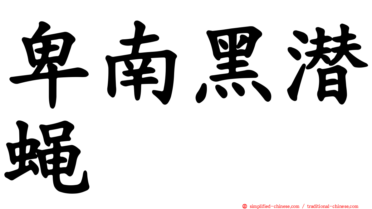 卑南黑潜蝇