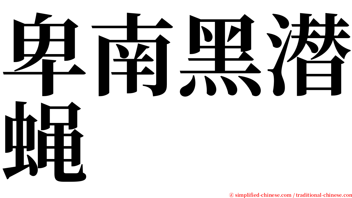 卑南黑潜蝇 serif font