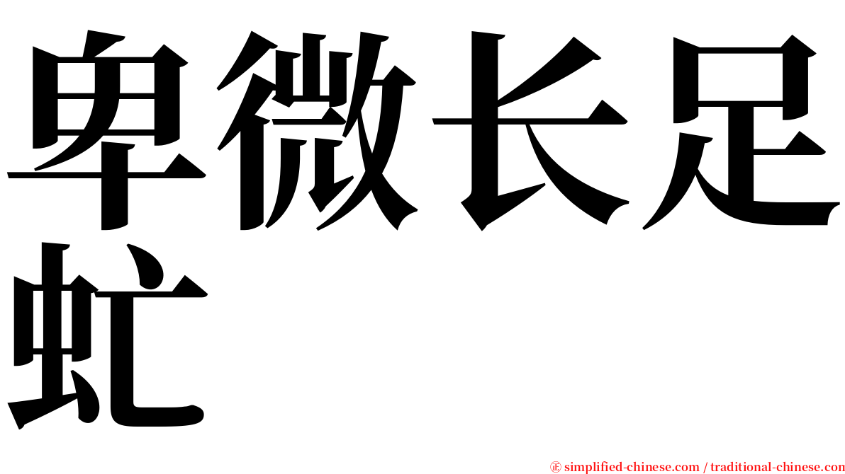 卑微长足虻 serif font