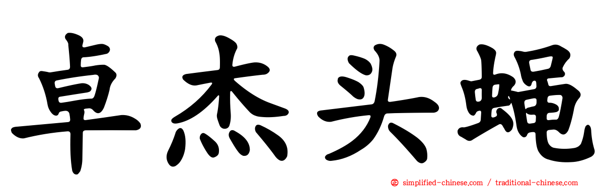 卓杰头蝇
