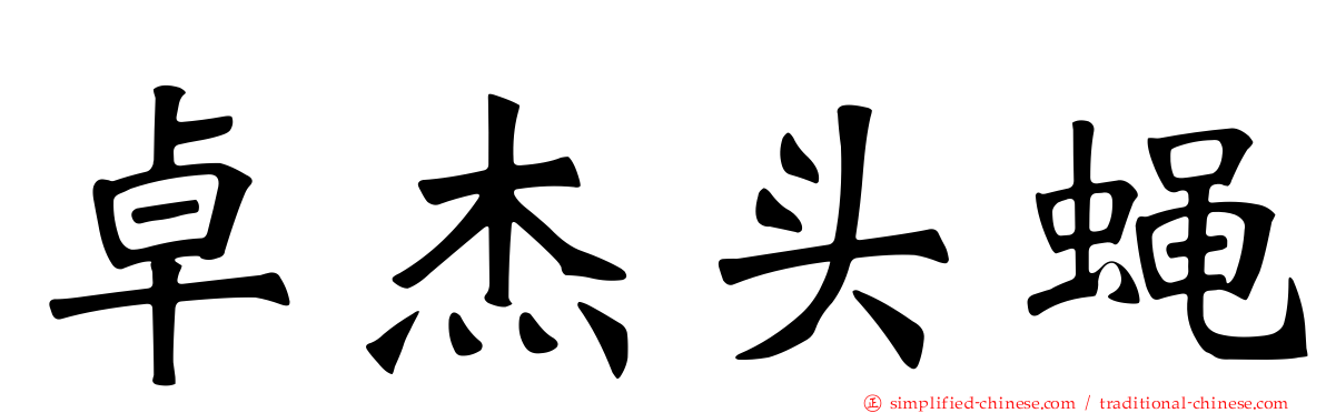 卓杰头蝇