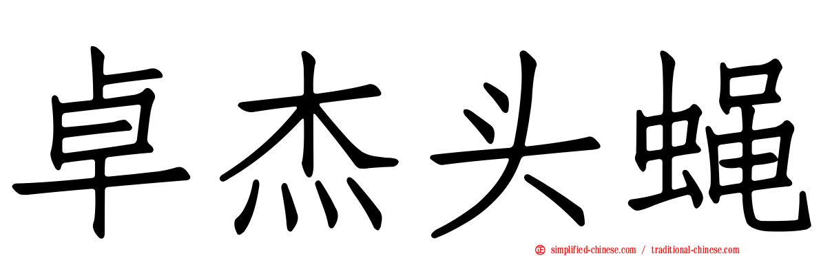 卓杰头蝇