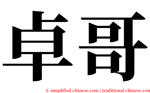 卓哥 serif font