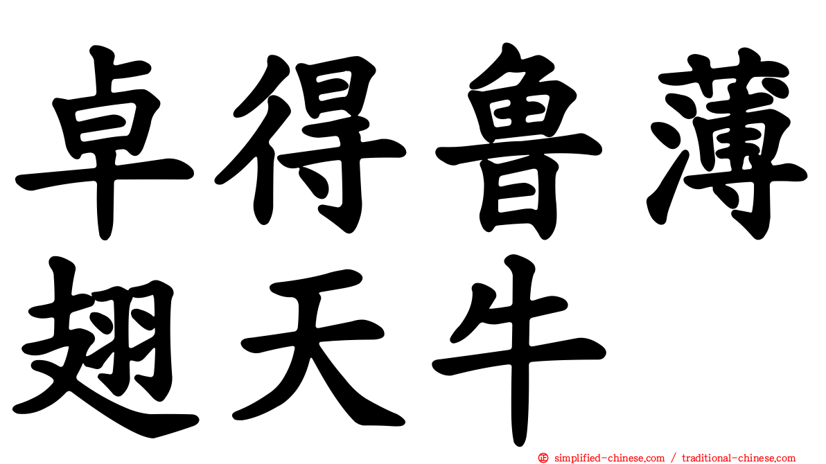 卓得鲁薄翅天牛