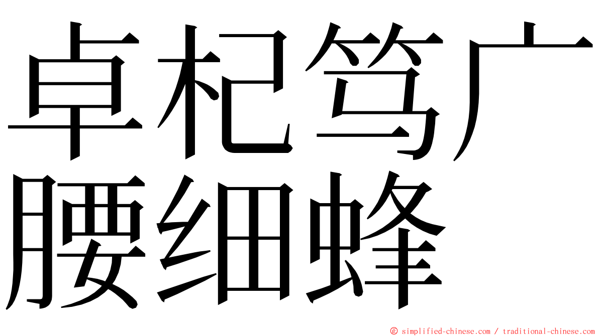 卓杞笃广腰细蜂 ming font
