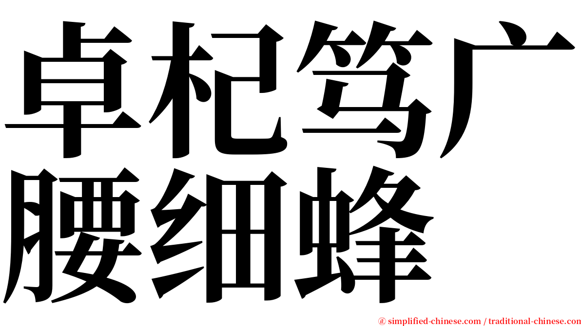 卓杞笃广腰细蜂 serif font