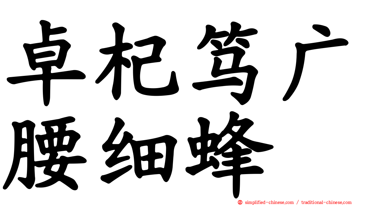 卓杞笃广腰细蜂