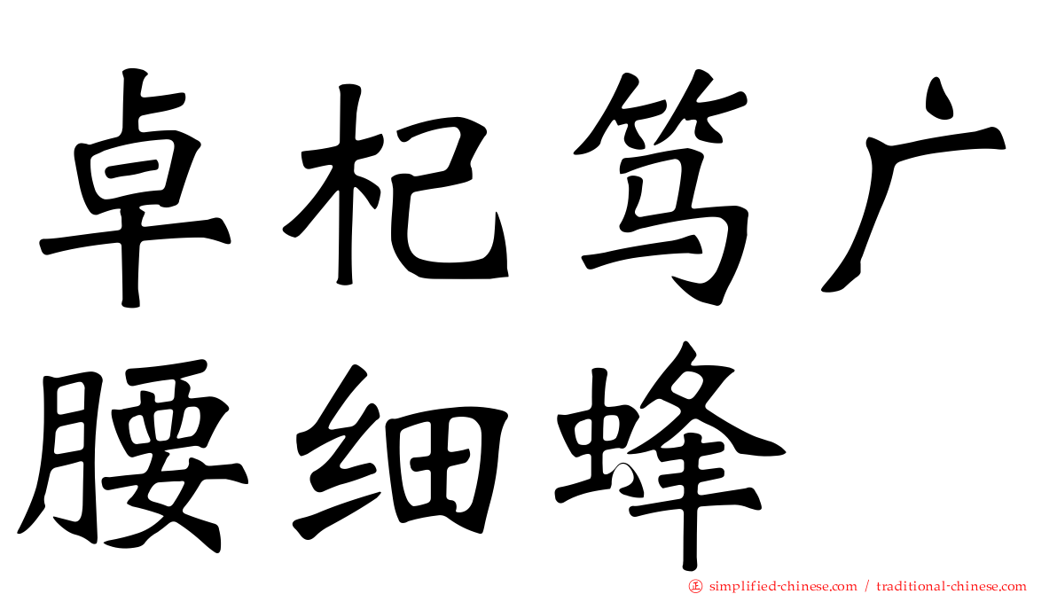 卓杞笃广腰细蜂