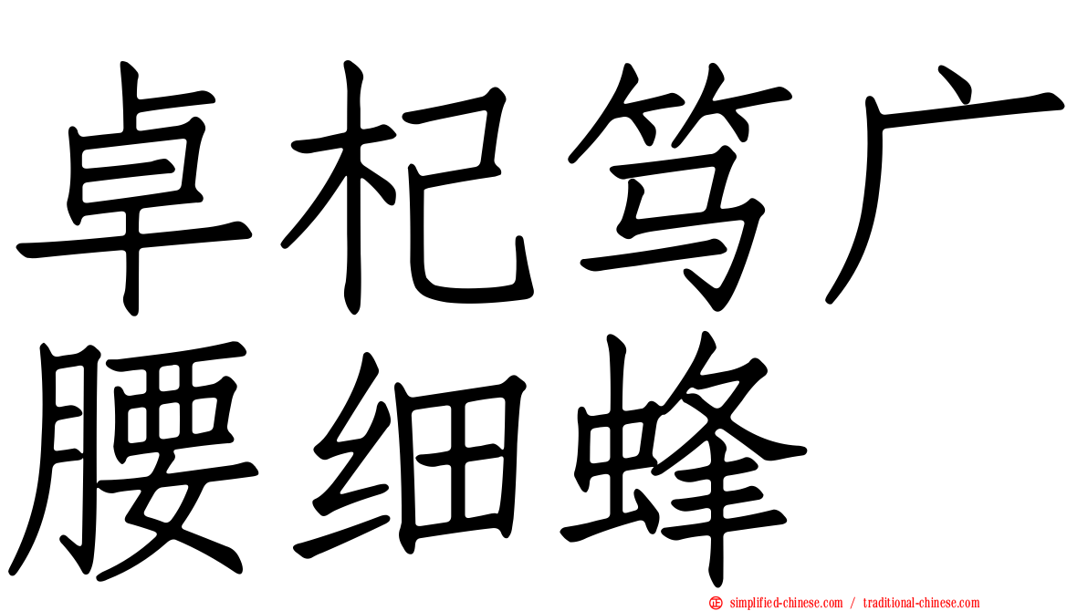 卓杞笃广腰细蜂