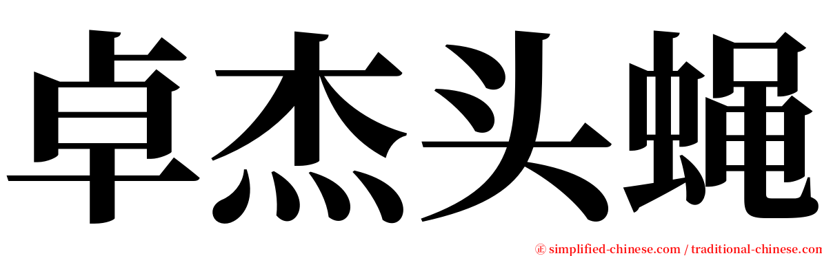卓杰头蝇 serif font
