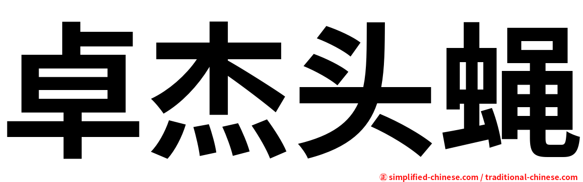 卓杰头蝇