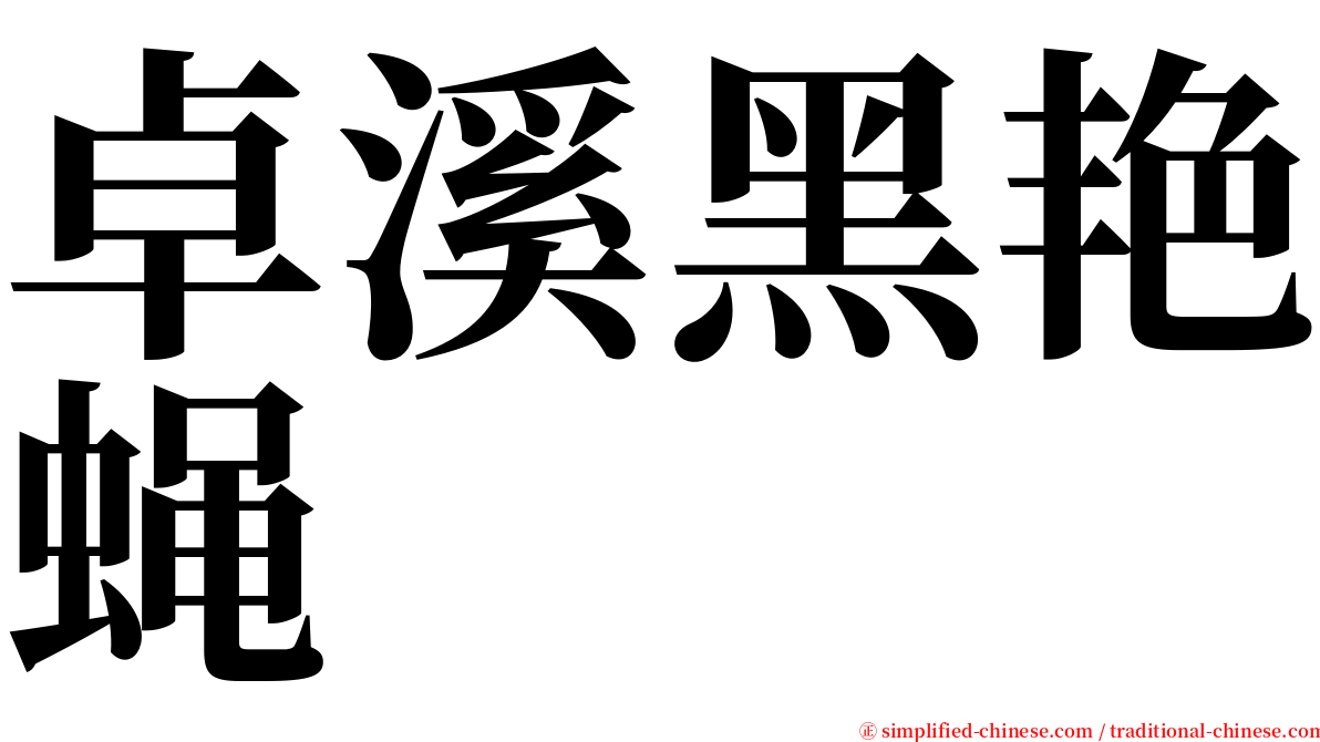 卓溪黑艳蝇 serif font