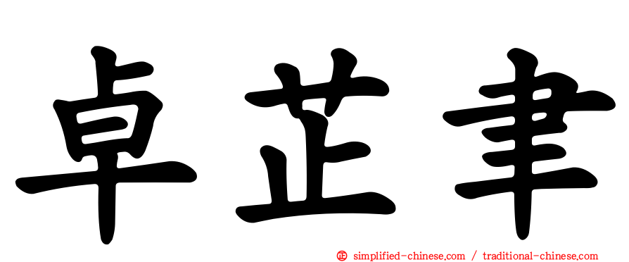 卓芷聿