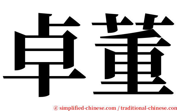 卓董 serif font