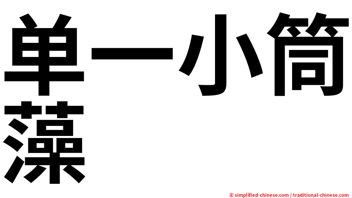 单一小筒藻