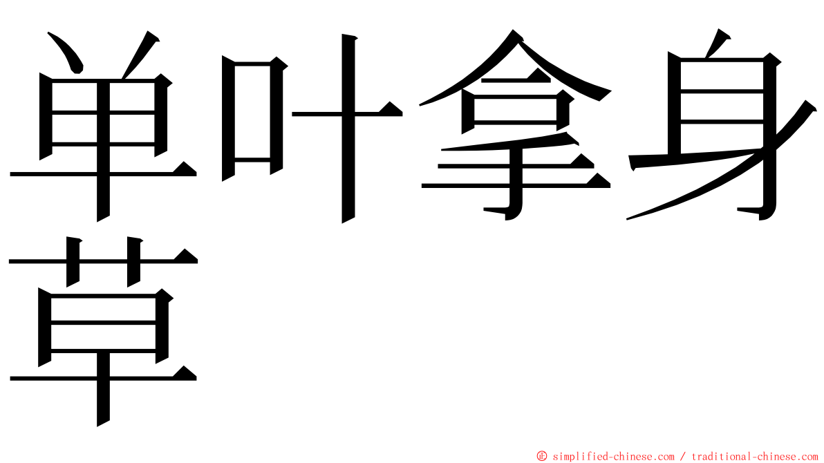 单叶拿身草 ming font