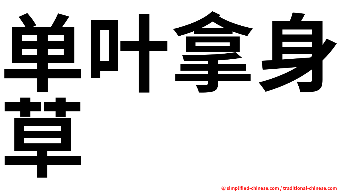 单叶拿身草