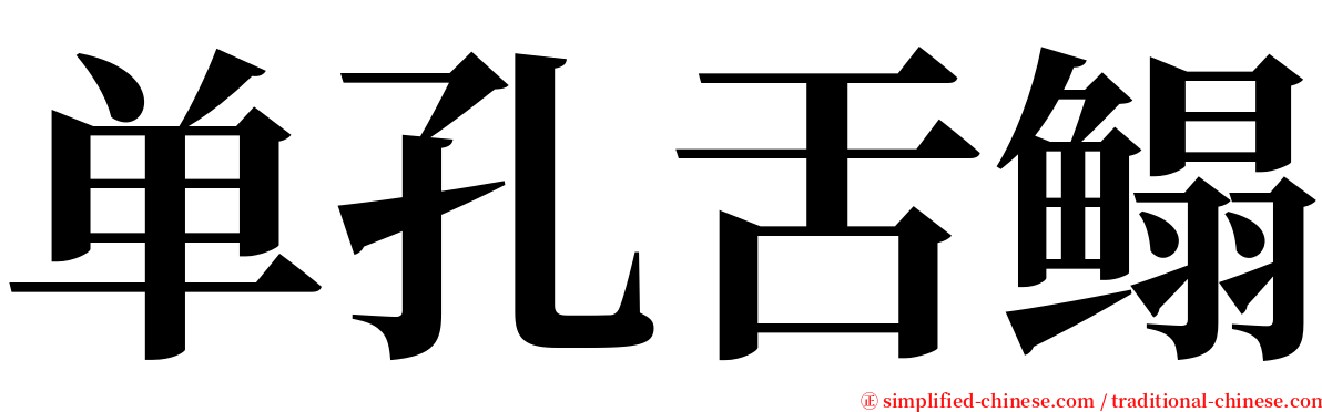 单孔舌鳎 serif font