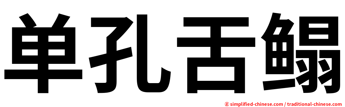 单孔舌鳎