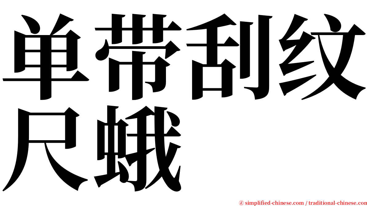 单带刮纹尺蛾 serif font
