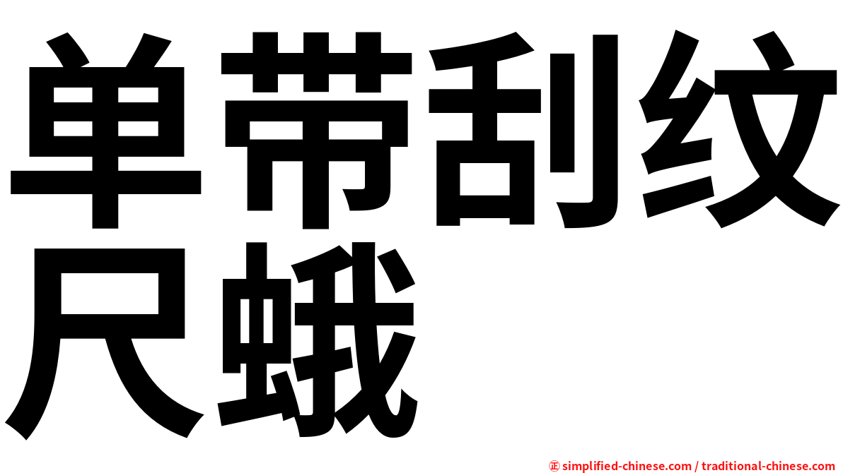 单带刮纹尺蛾