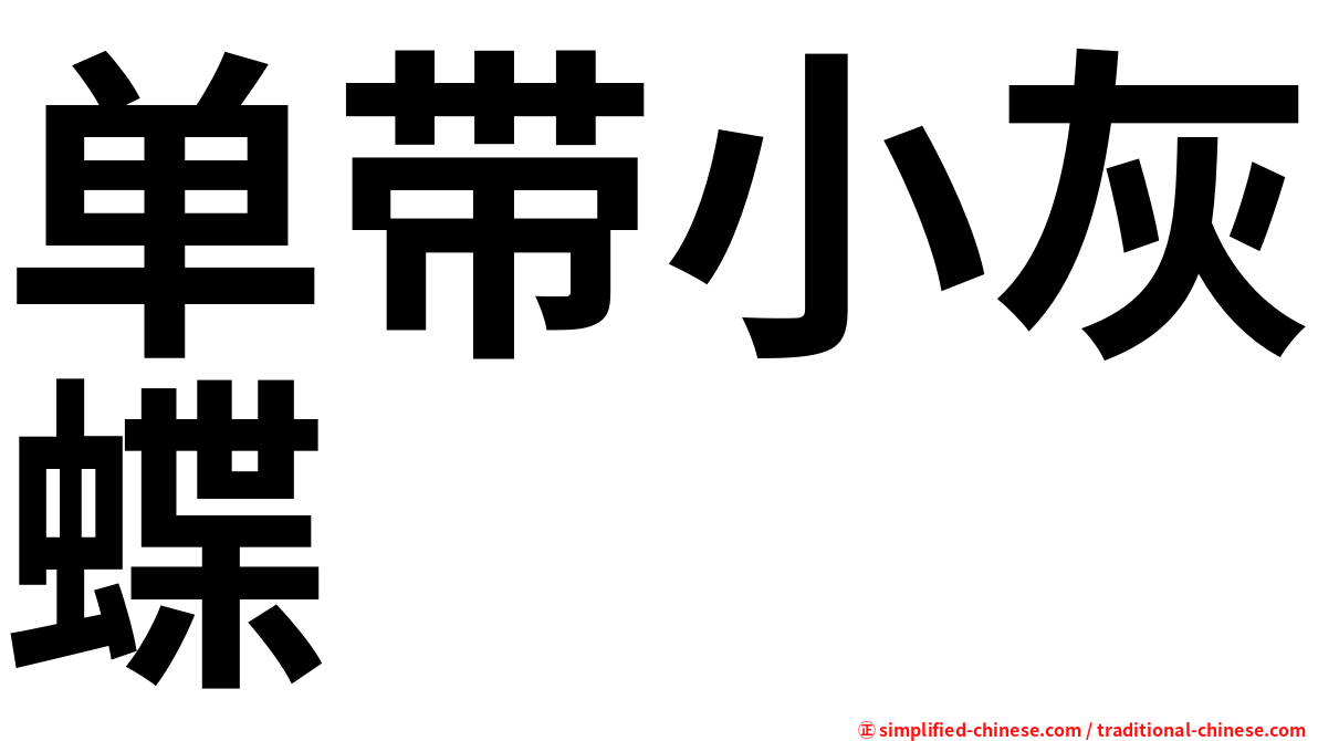 单带小灰蝶