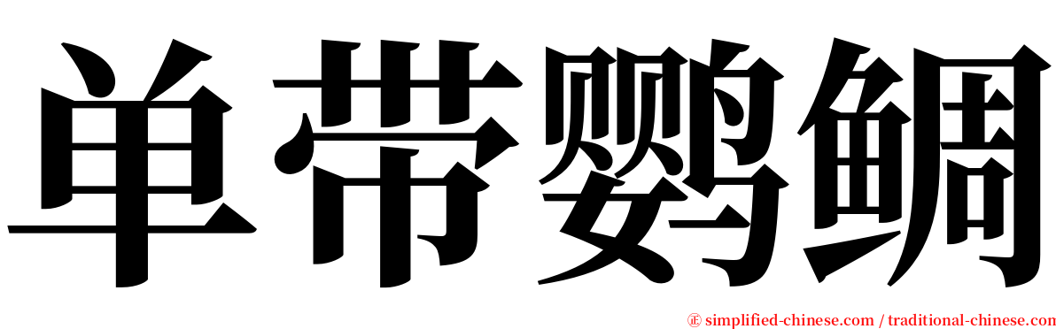 单带鹦鲷 serif font