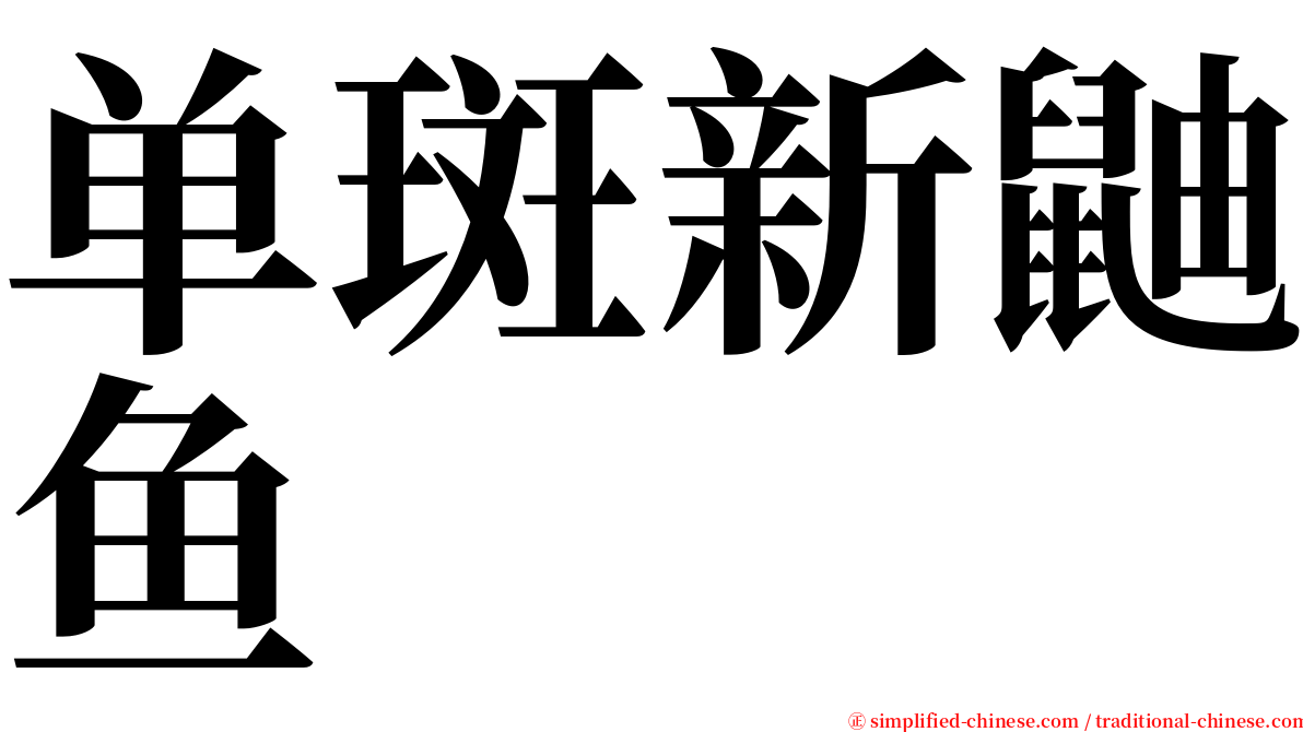 单斑新鼬鱼 serif font