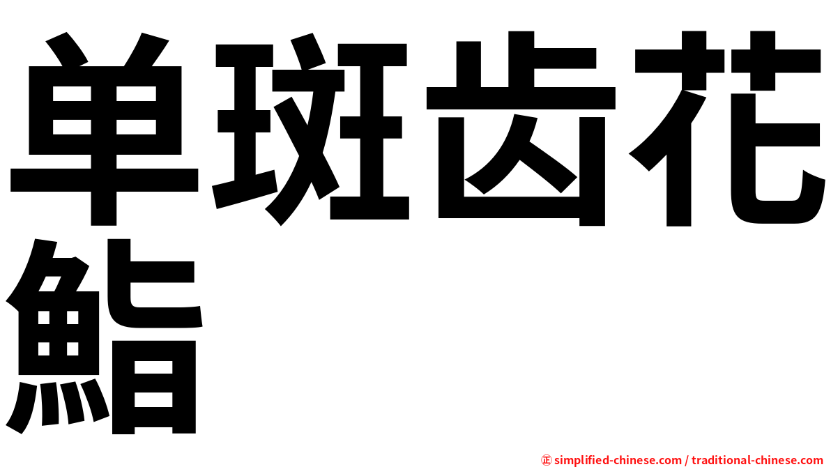 单斑齿花鮨