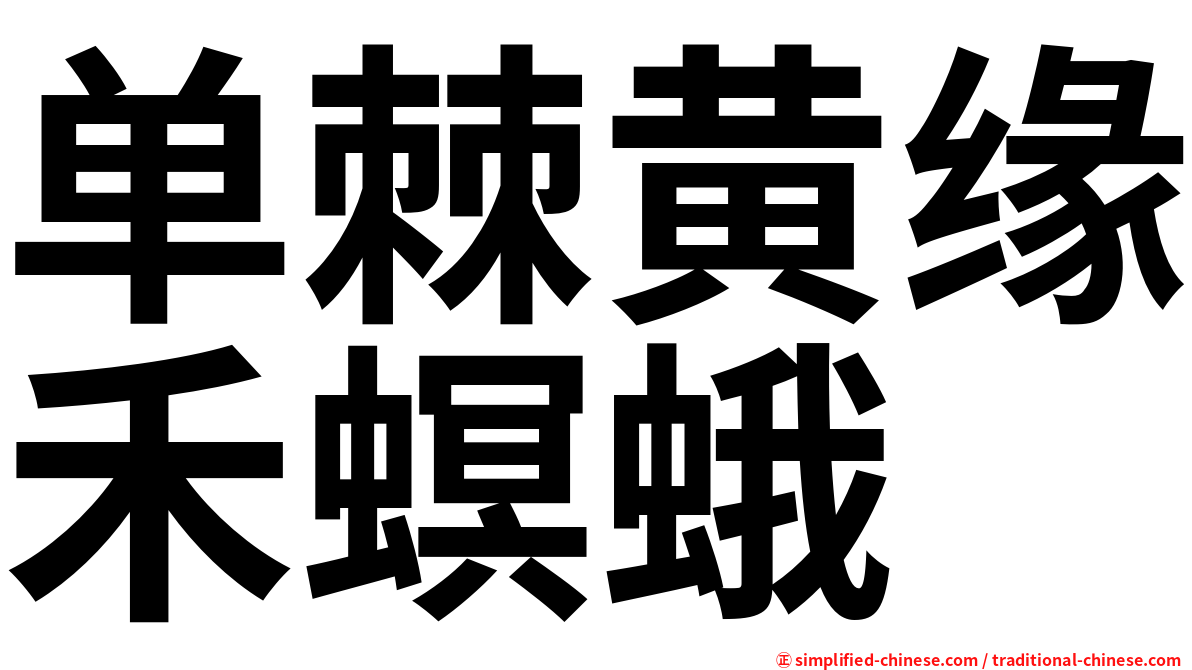 单棘黄缘禾螟蛾