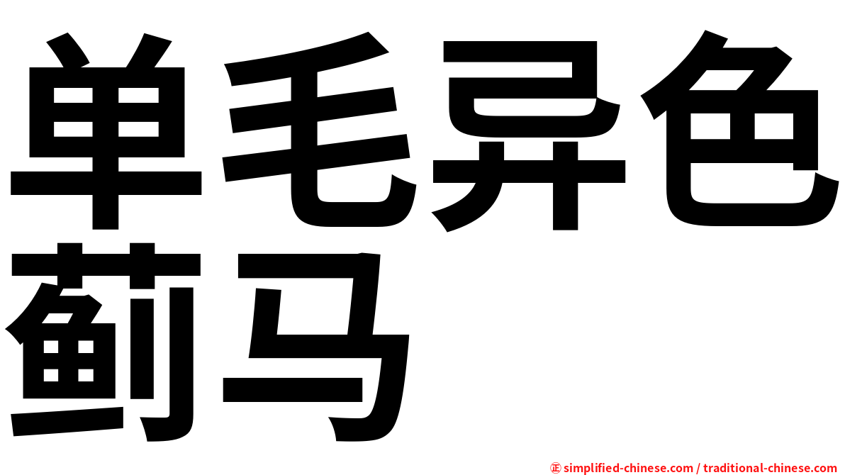 单毛异色蓟马