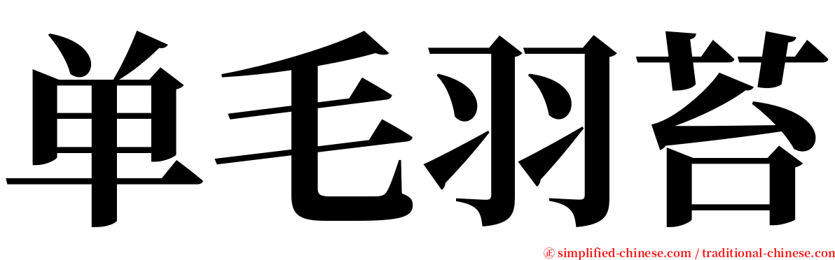 单毛羽苔 serif font