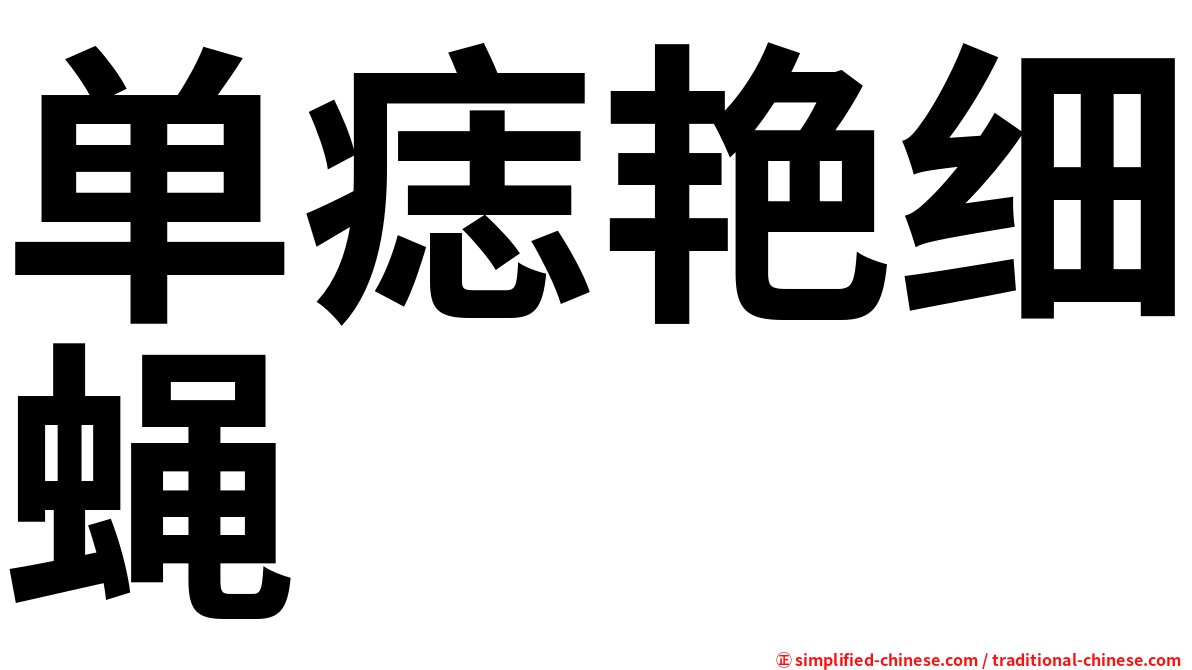 单痣艳细蝇