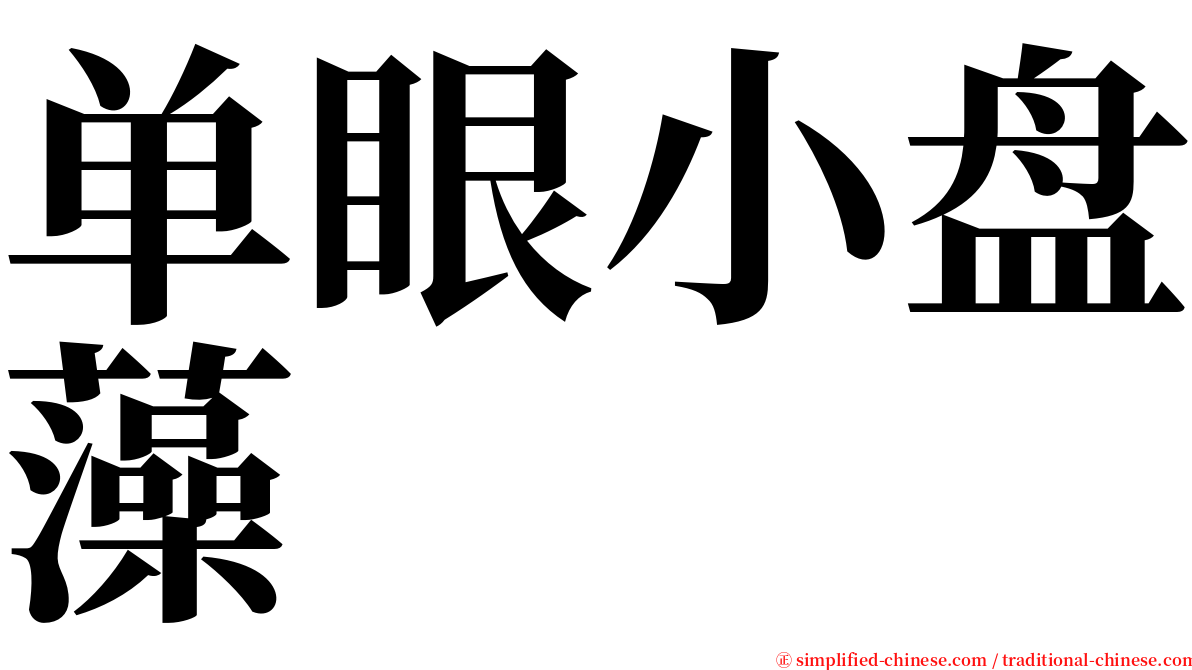 单眼小盘藻 serif font