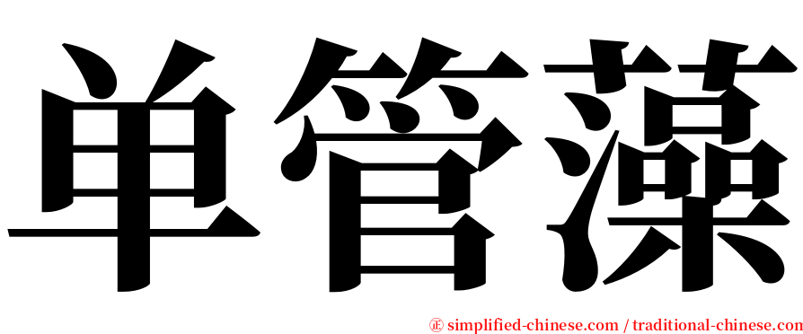 单管藻 serif font