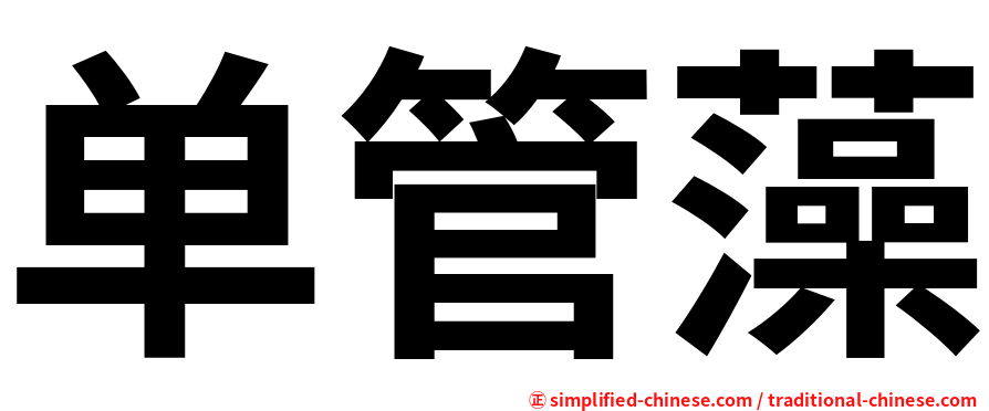 单管藻