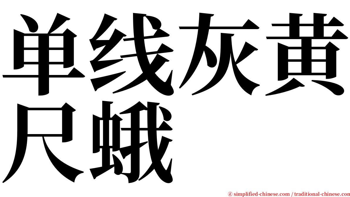 单线灰黄尺蛾 serif font