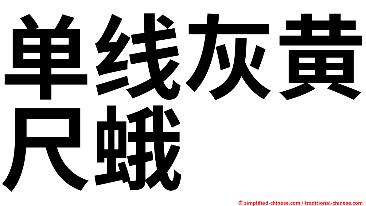 单线灰黄尺蛾
