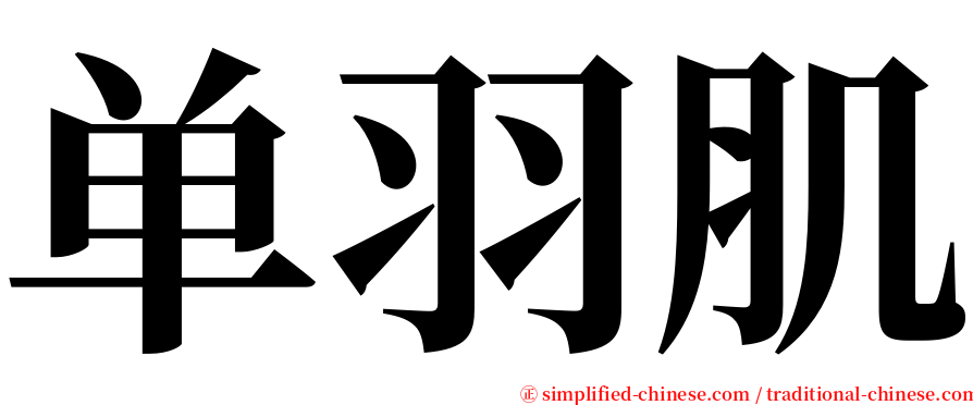 单羽肌 serif font
