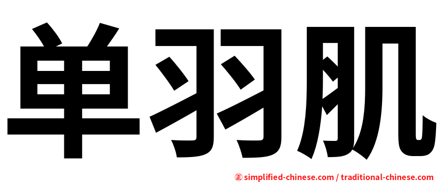 单羽肌