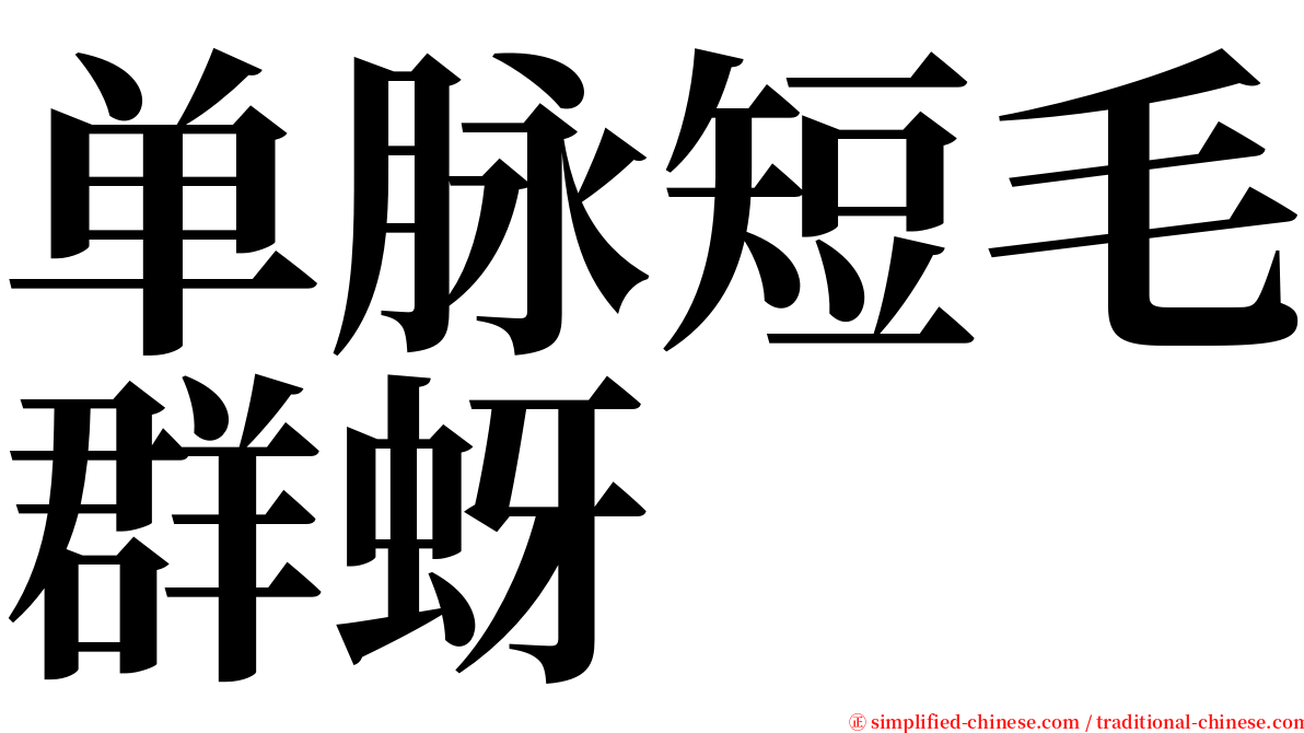 单脉短毛群蚜 serif font