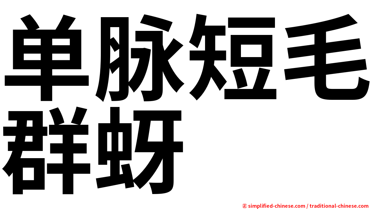 单脉短毛群蚜