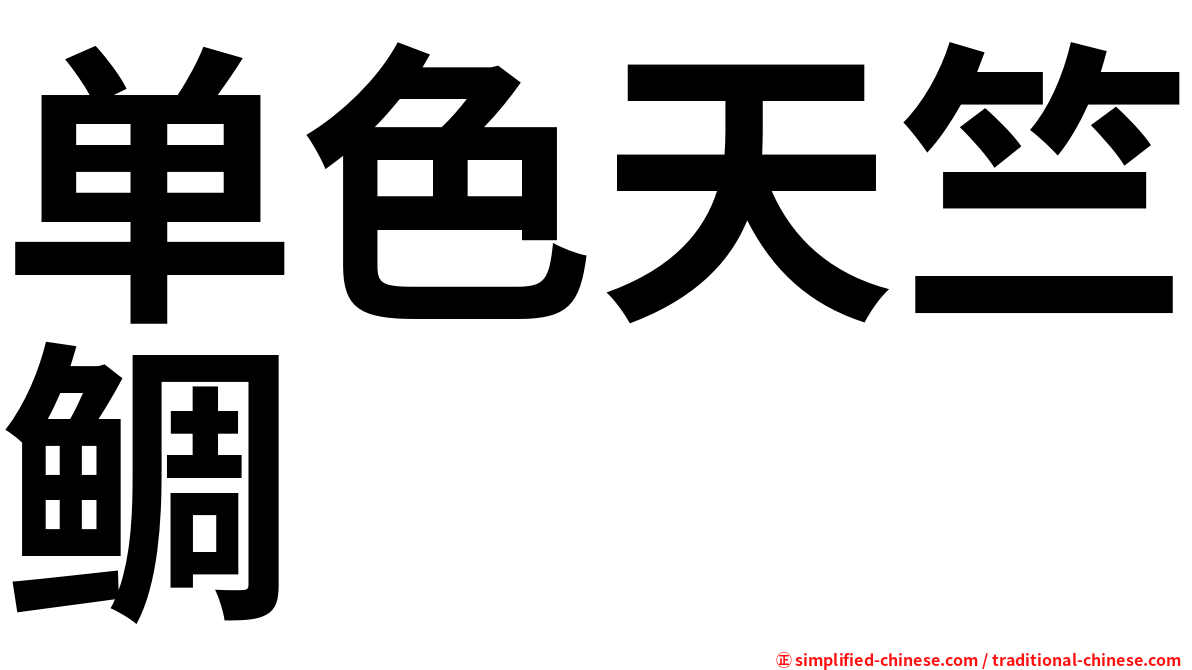单色天竺鲷