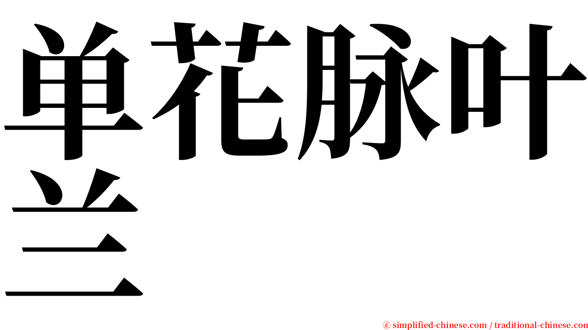 单花脉叶兰 serif font