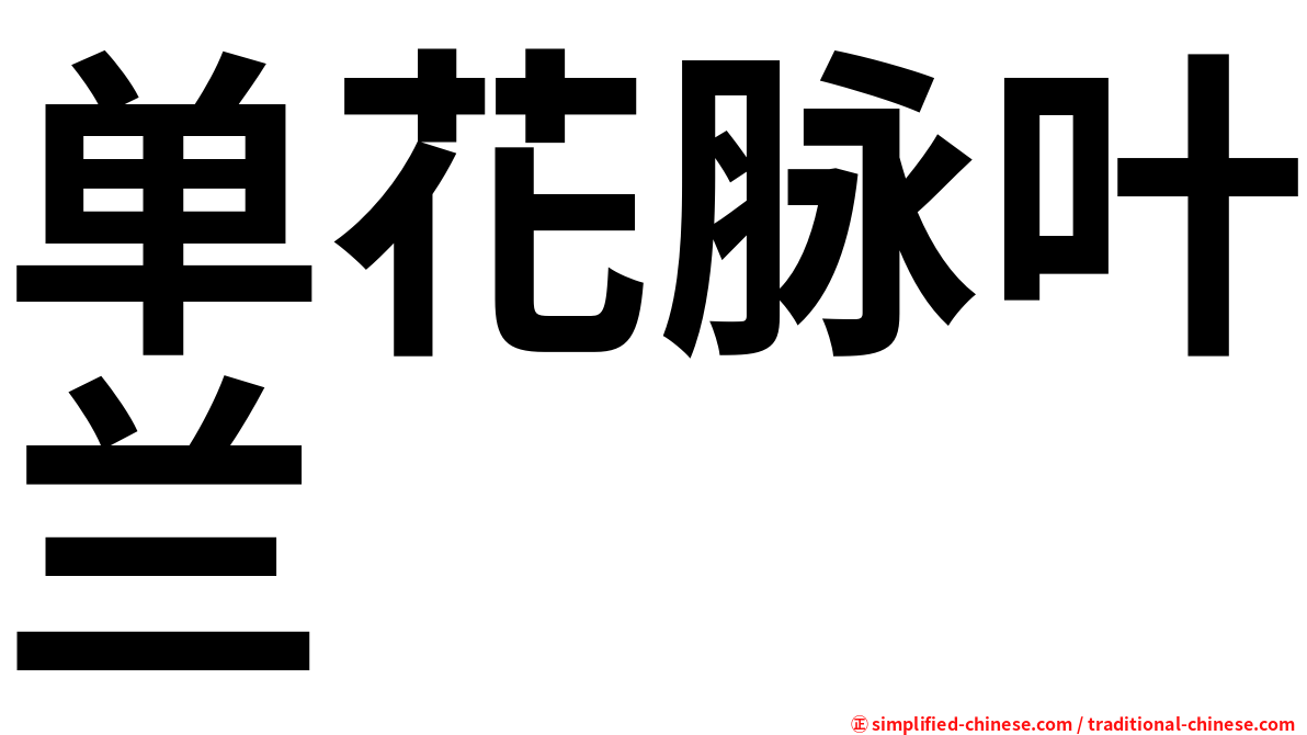 单花脉叶兰