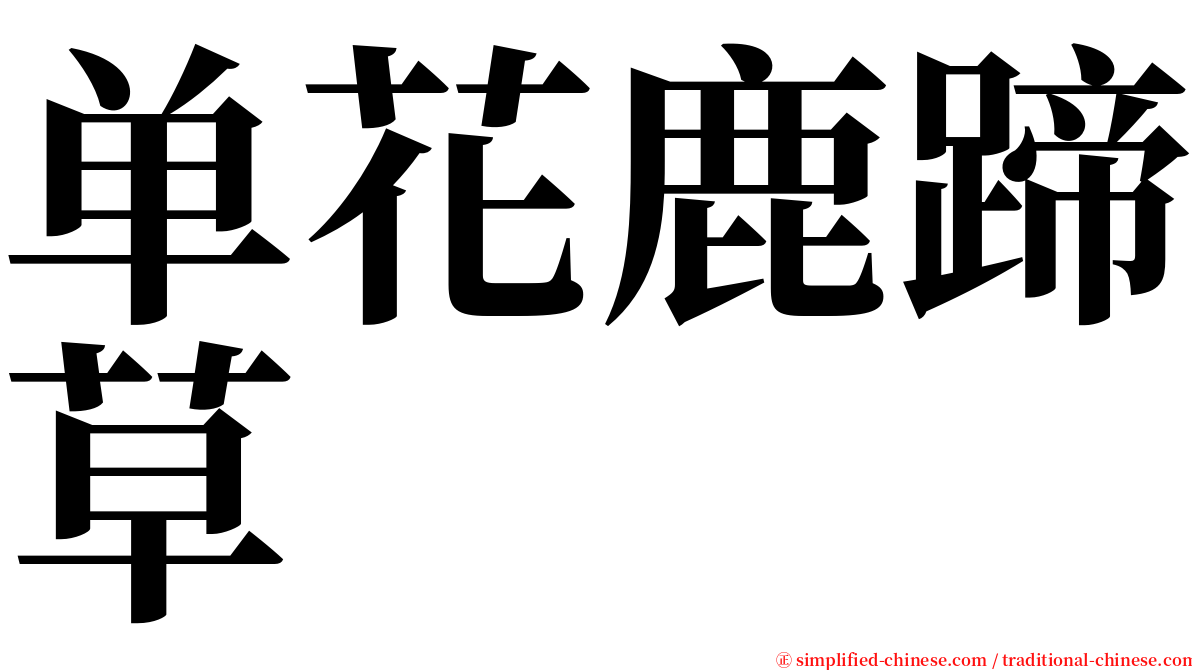 单花鹿蹄草 serif font