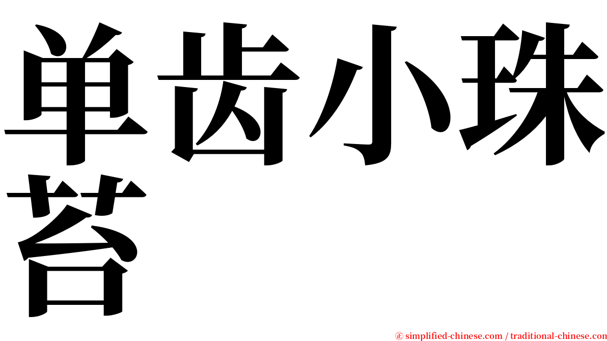 单齿小珠苔 serif font