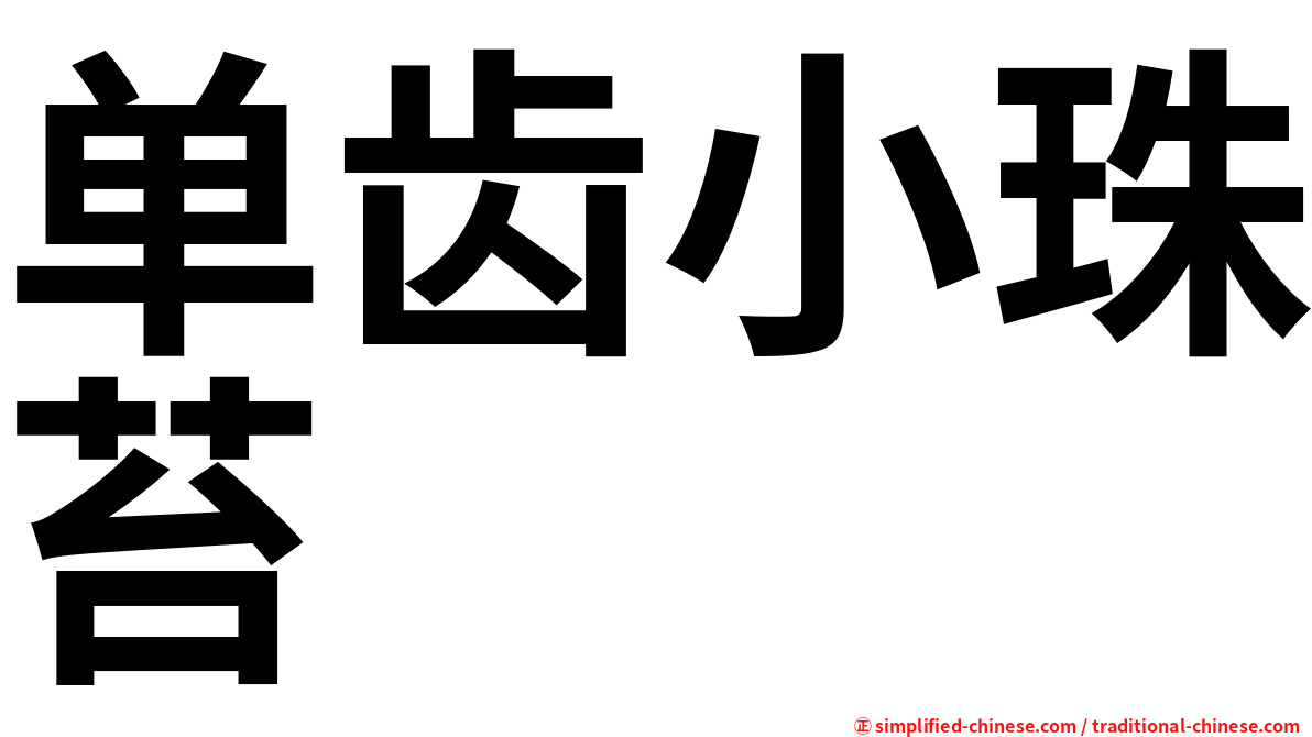 单齿小珠苔