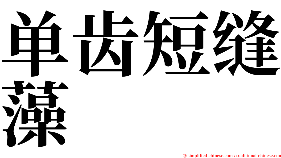 单齿短缝藻 serif font